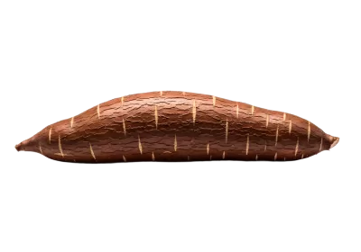 Imagen PNG para descargar